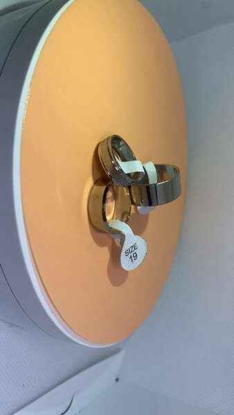 Alliances élégantes en acier inoxydable