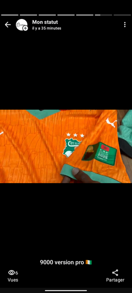 Maillot Côte d'Ivoire