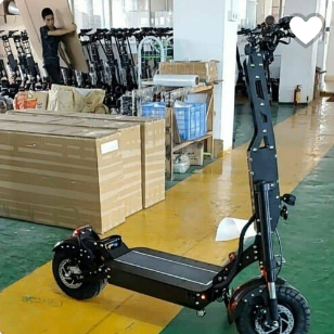 Trottinette Électrique Pliable Puissante