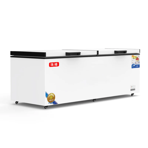 Congélateur commercial 600L