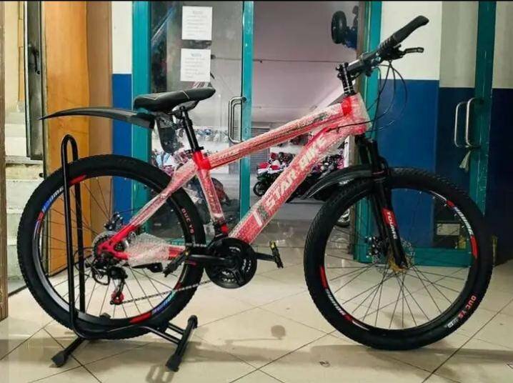 Vélo de montagne robuste