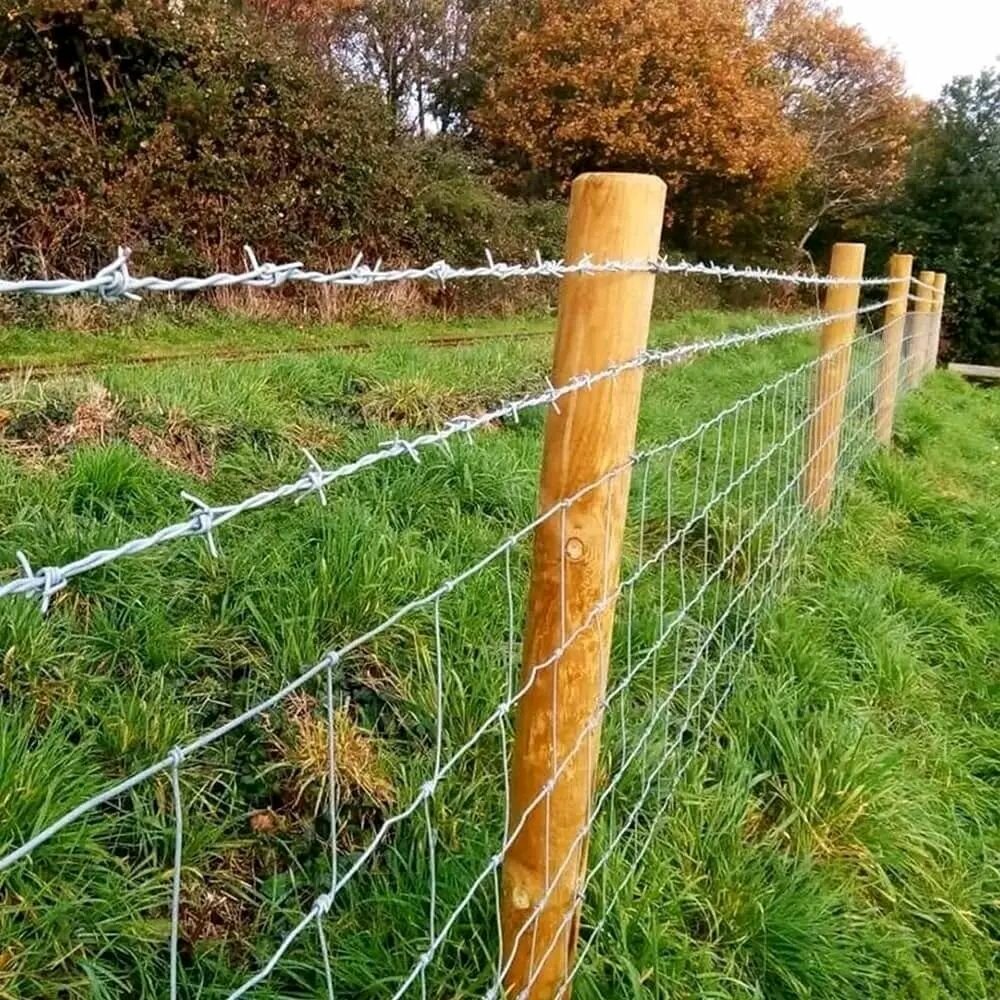 Barbelé de sécurité clôture