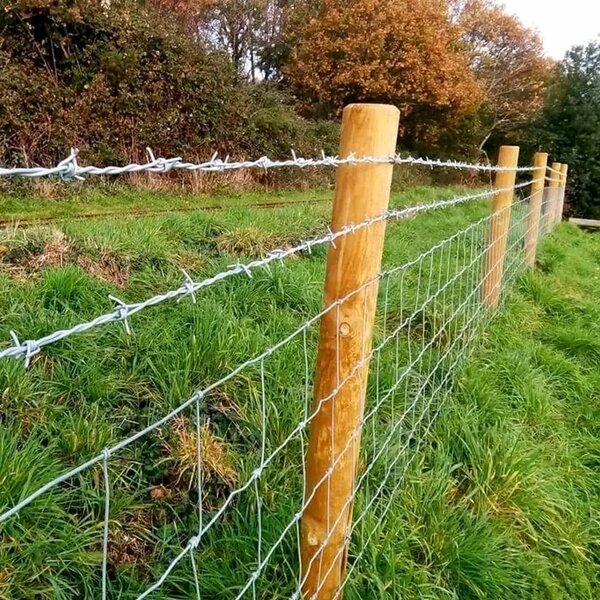 Barbelé de sécurité clôture