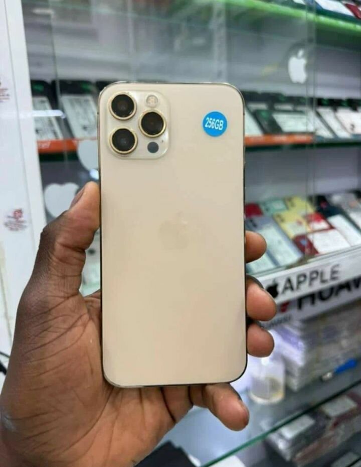 iPhone 256GB Smartphone