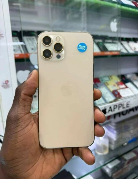 iPhone 256GB Smartphone