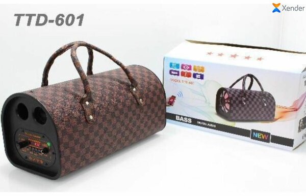 Enceinte Bluetooth portative TTD-601