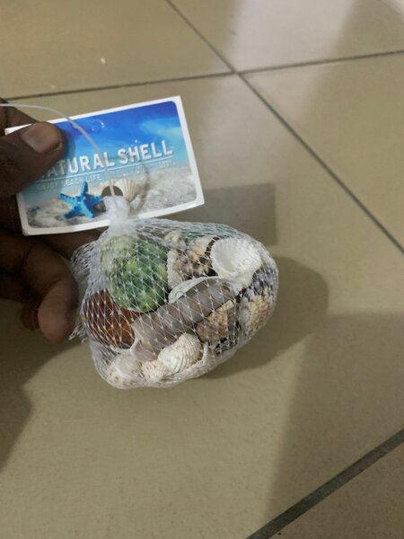 Coquillages Décoratifs Naturels