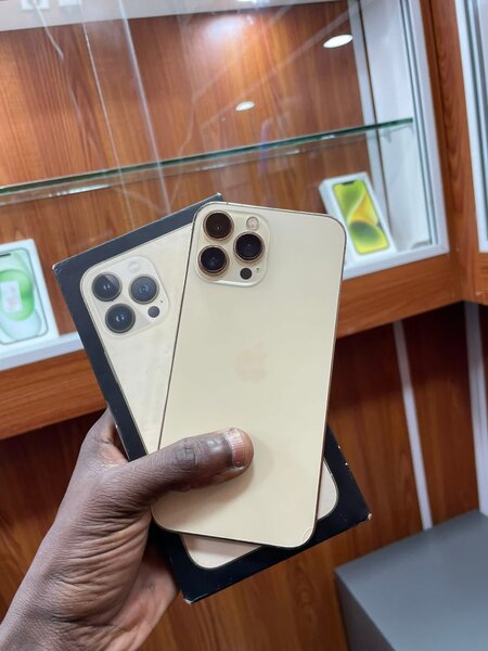 iPhone 13 Pro Max Gold