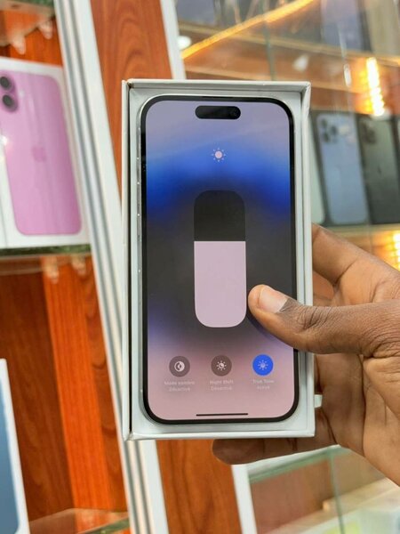 iPhone 14 Pro Max 256 Go