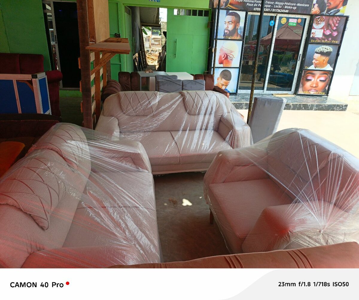 Ensemble de canapés modernes