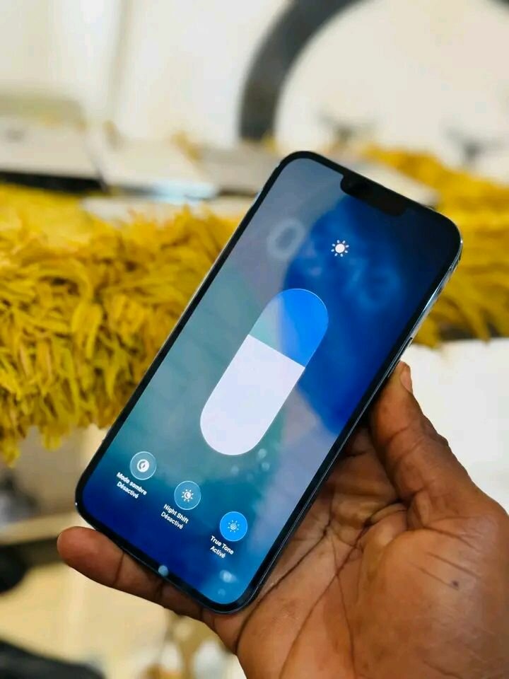 iPhone 13 Pro Max Bleu