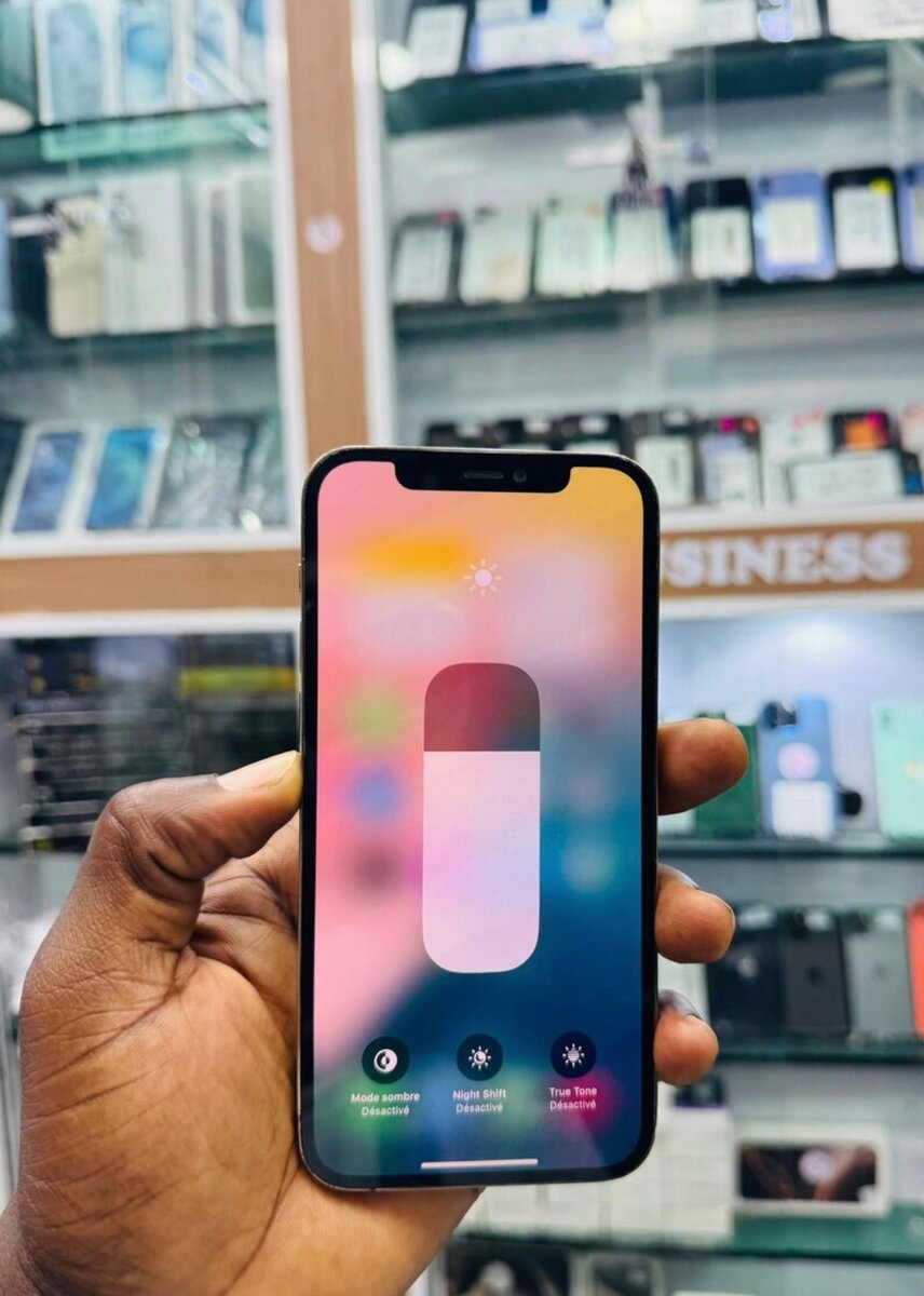 iPhone 12 Pro Reconditionné
