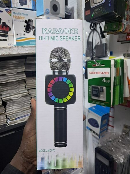 Microphone Karaoké Hi-Fi