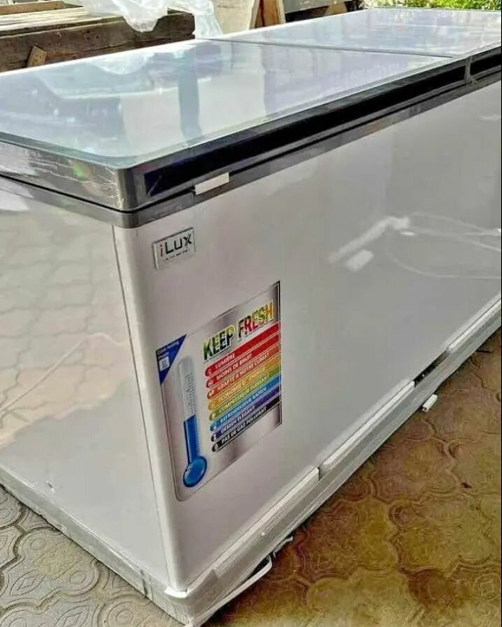 Congélateur Coffre Grande Capacité