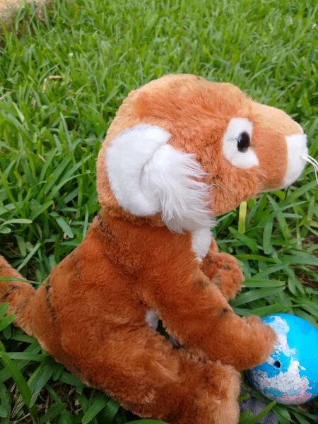Jouet tigre en peluche marron