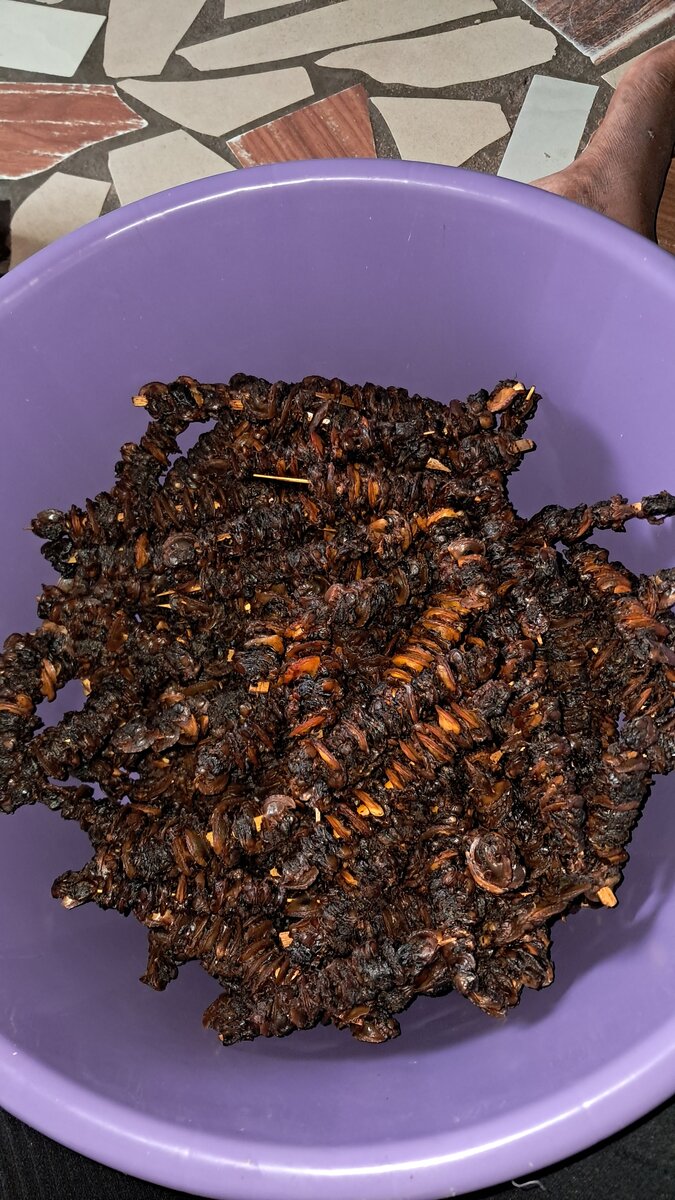 Brochettes de coquillage