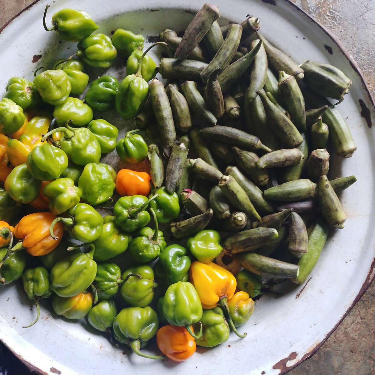 Okra fraîche et piments