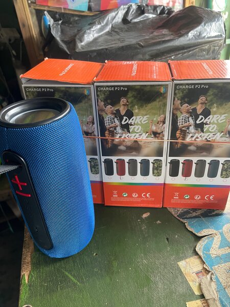 Enceinte Bluetooth P2 Pro