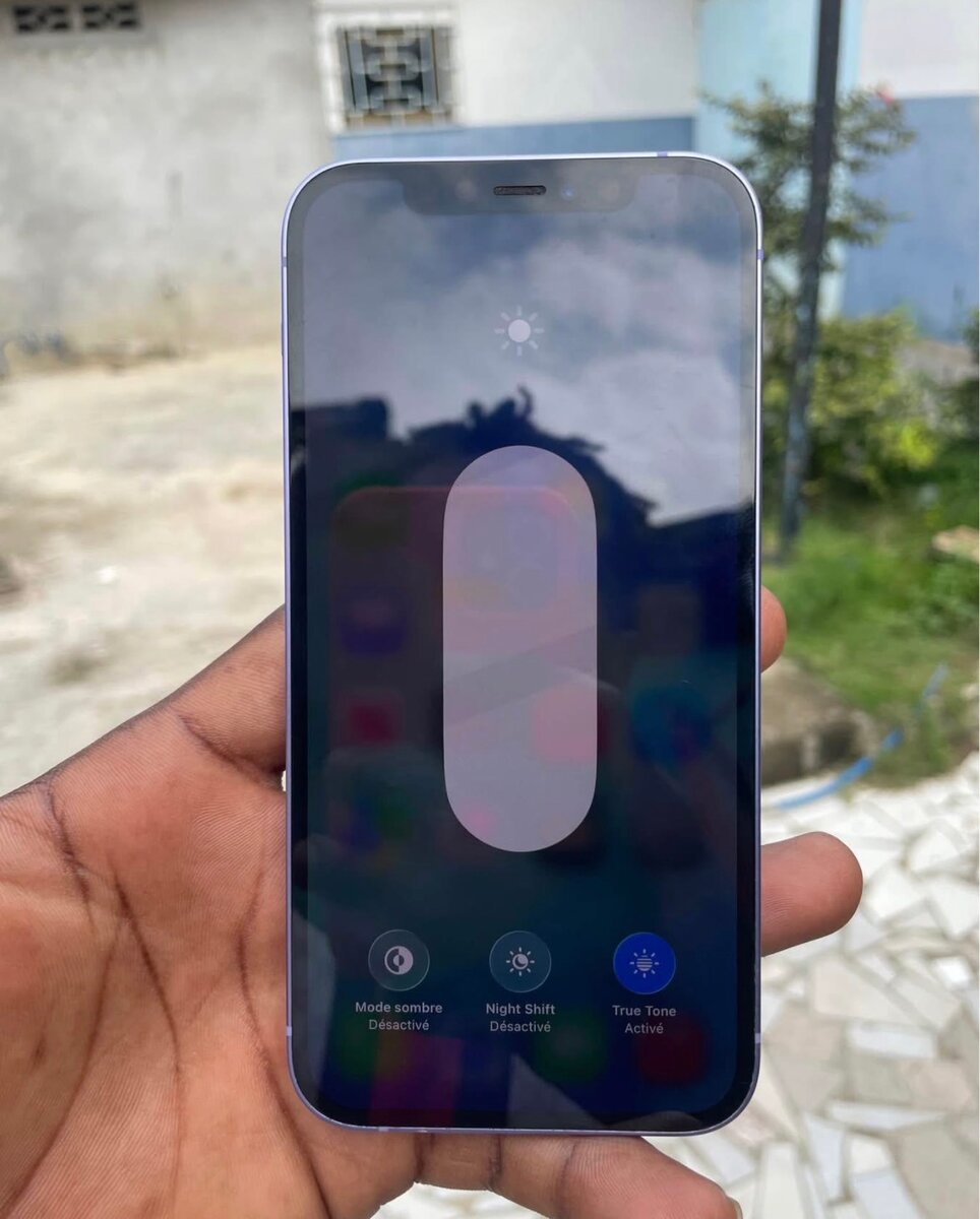 Smartphone Apple 64Go