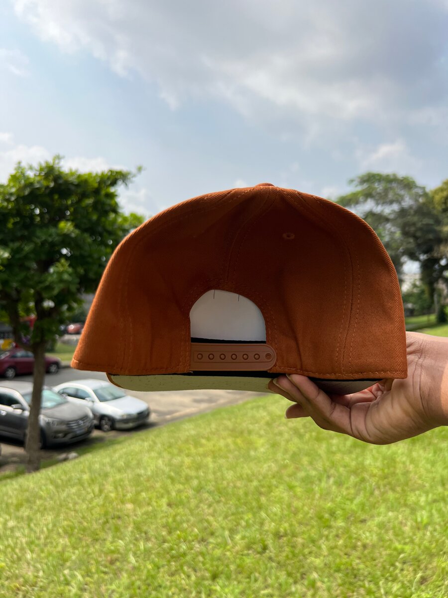 Casquette Snapback LA Marron