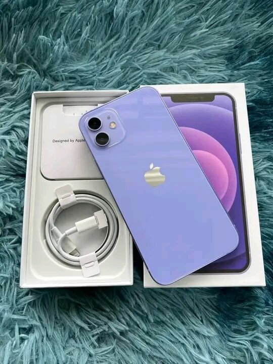 iPhone 12 violet neuf