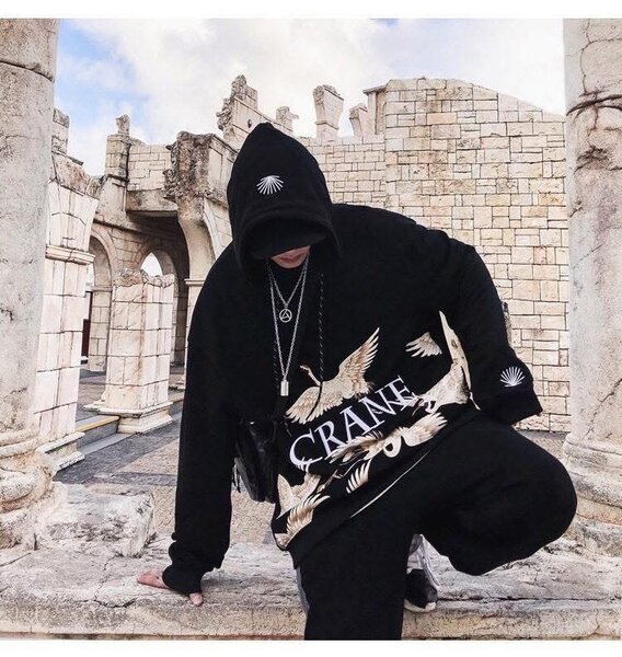 Sweat à capuche grues élégant