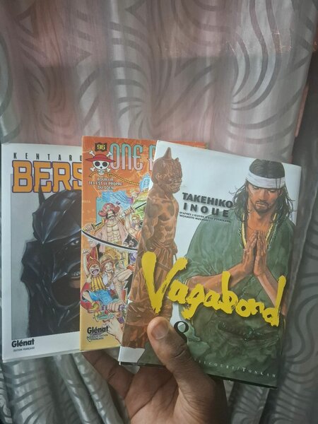 Lot de mangas populaires