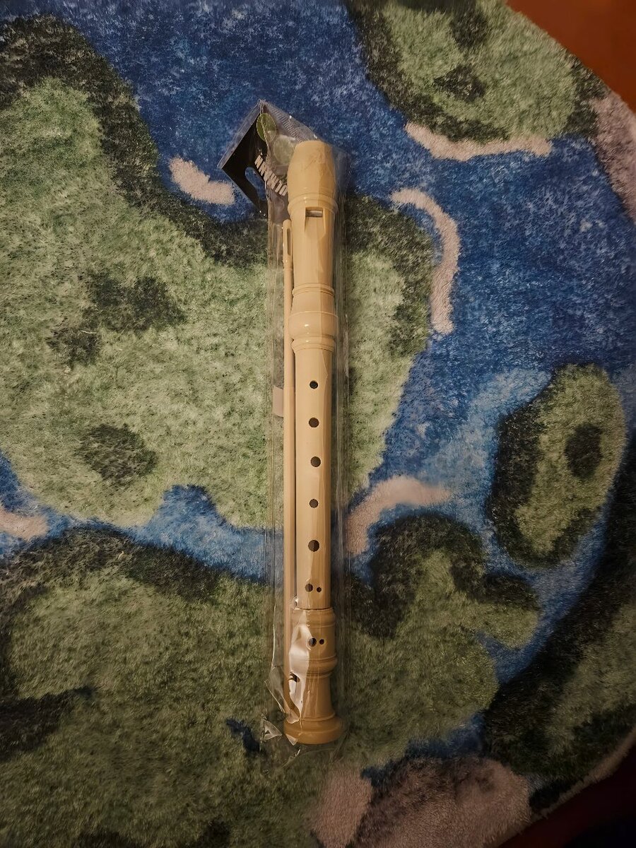 Flûte à bec en plastique