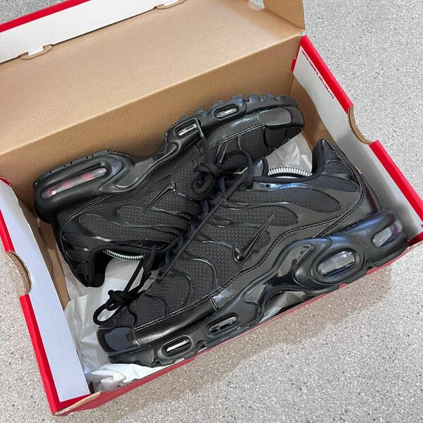Nike Air Max TN Sneakers