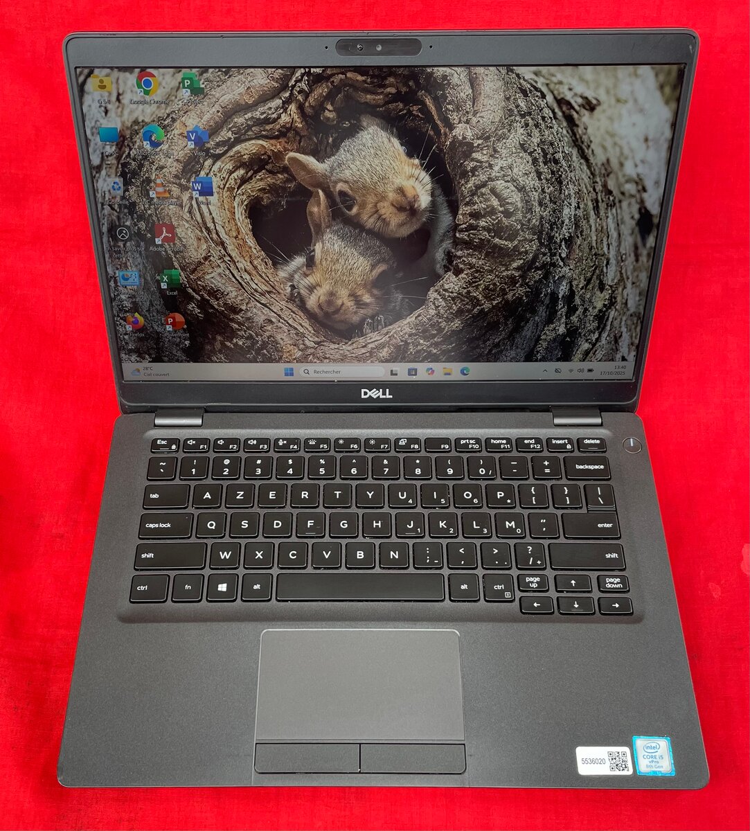 Dell Latitude 7300