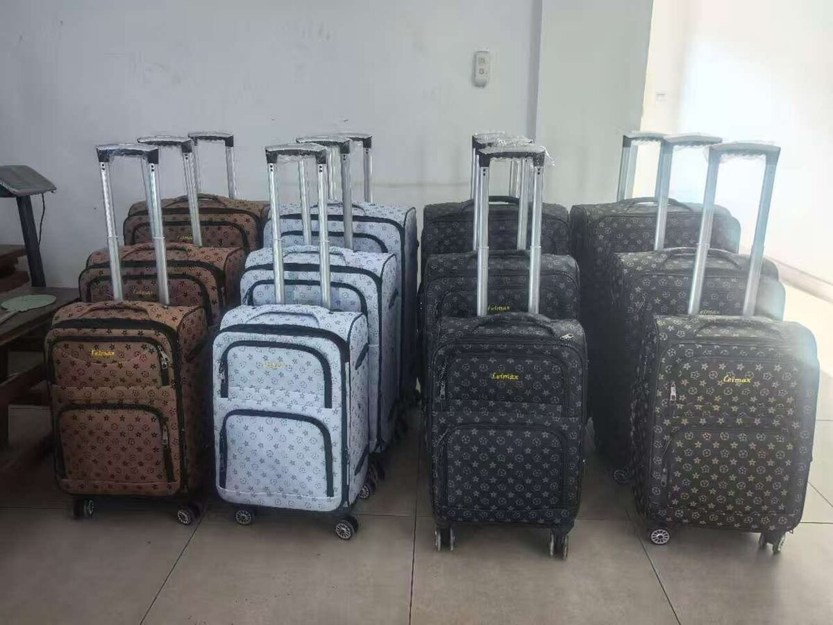 Valises à roulettes élégantes