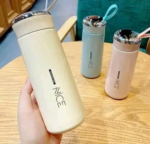 Bouteille Thermos Portable