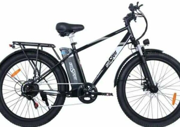 Vélo électrique robuste