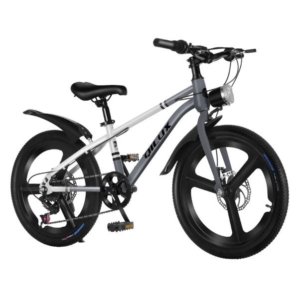 Vélo Enfant Tout-Terrain 20"