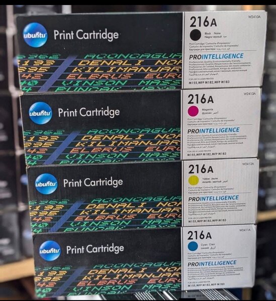 Cartouches d'encre Ubintu 216A