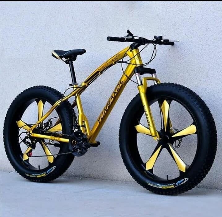 Vélo Fat Bike Tout Terrain