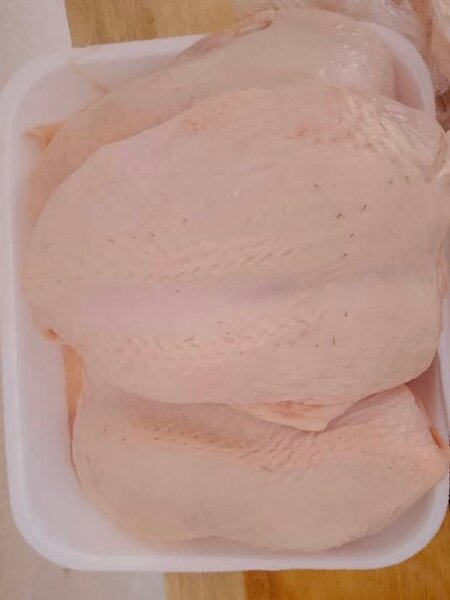 Filets de poulet frais