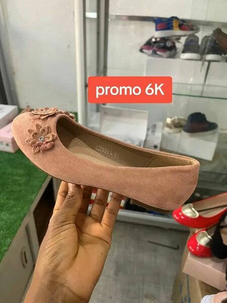 Ballerines Roses Élégantes