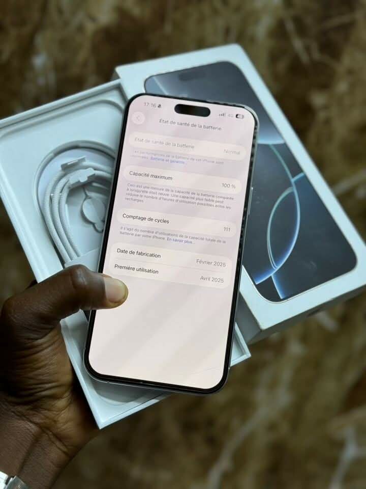 iPhone 14 Pro Max Argent