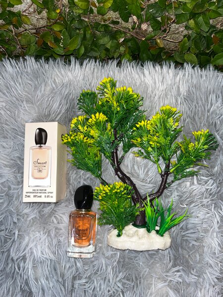 Parfum Unisexe Élégant