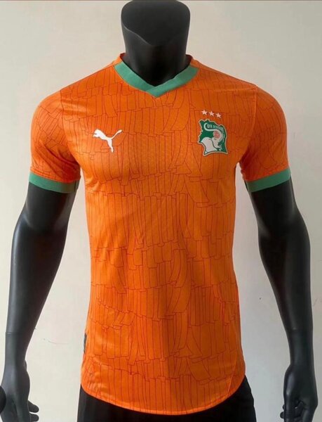 Maillot Côte d'Ivoire Puma