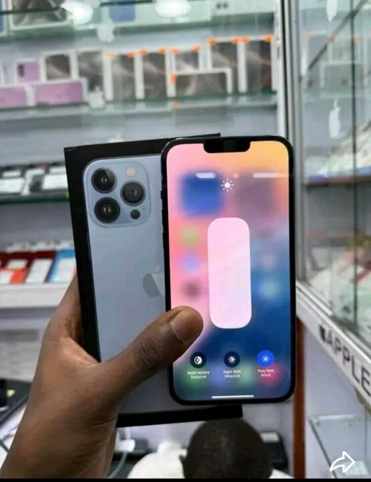 iPhone 13 Pro Max 256Go