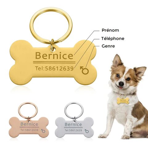 Médaille pour chien