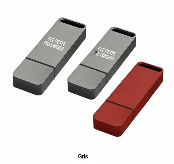 Clé USB Sécurisée 8GB