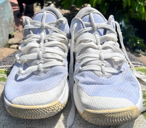 NikeHyperdunk X Low 10 Pure P