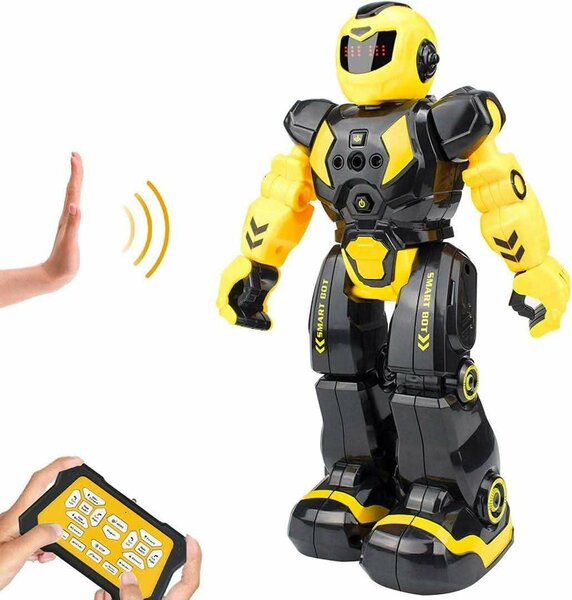 Robot Télécommandé Intelligent