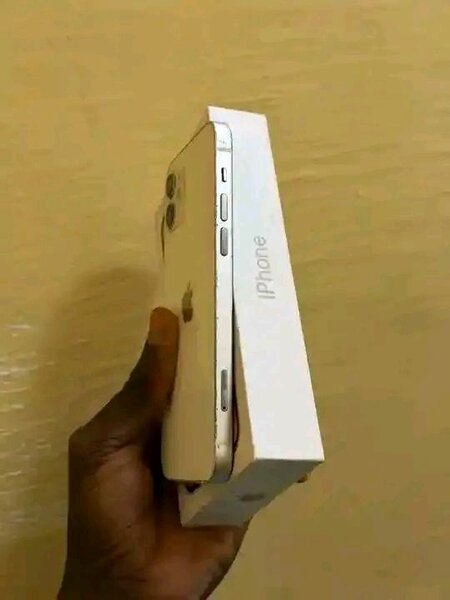 iPhone 12 - Smartphone puissant