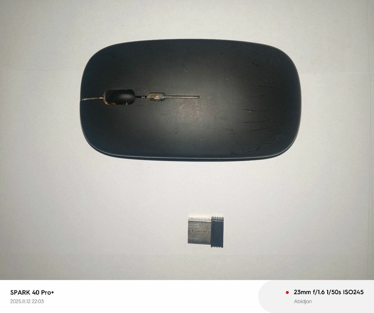 Souris sans fil LED ergonomique