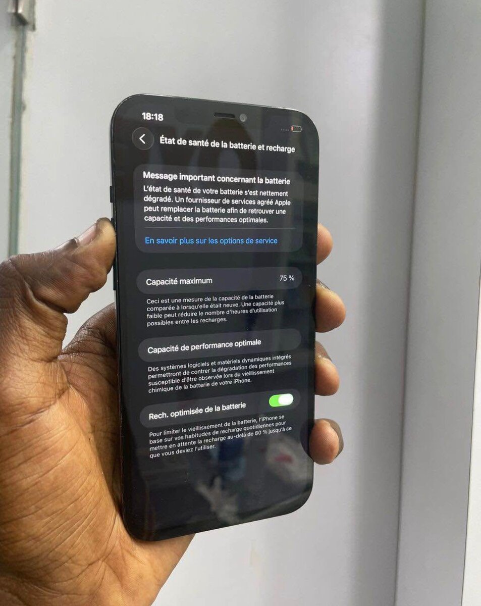 iPhone 12 Pro Max 256GB Bleu