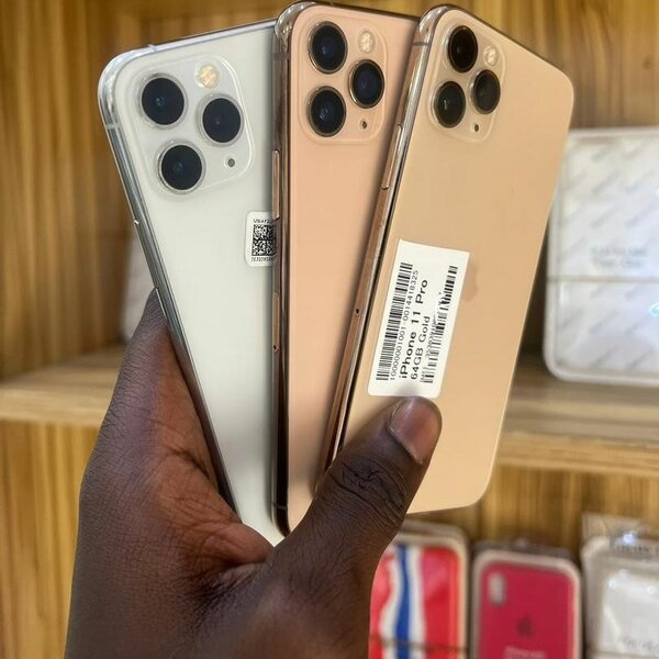 iPhone Pro Max 256 Go